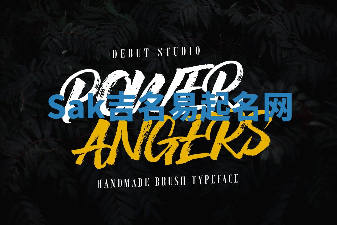 Sak吉名易起名网