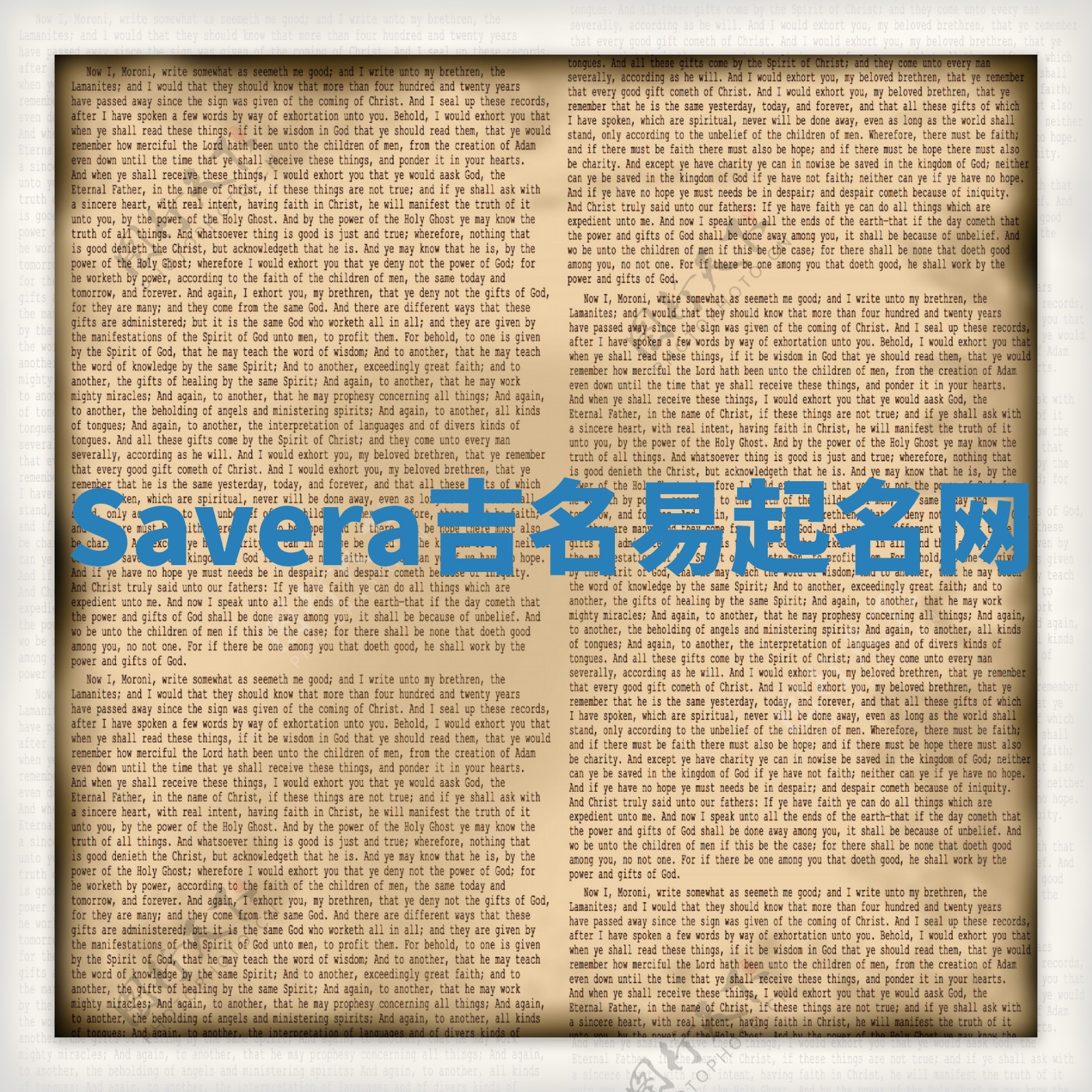 Savera吉名易起名网 Savera吉名易起名网