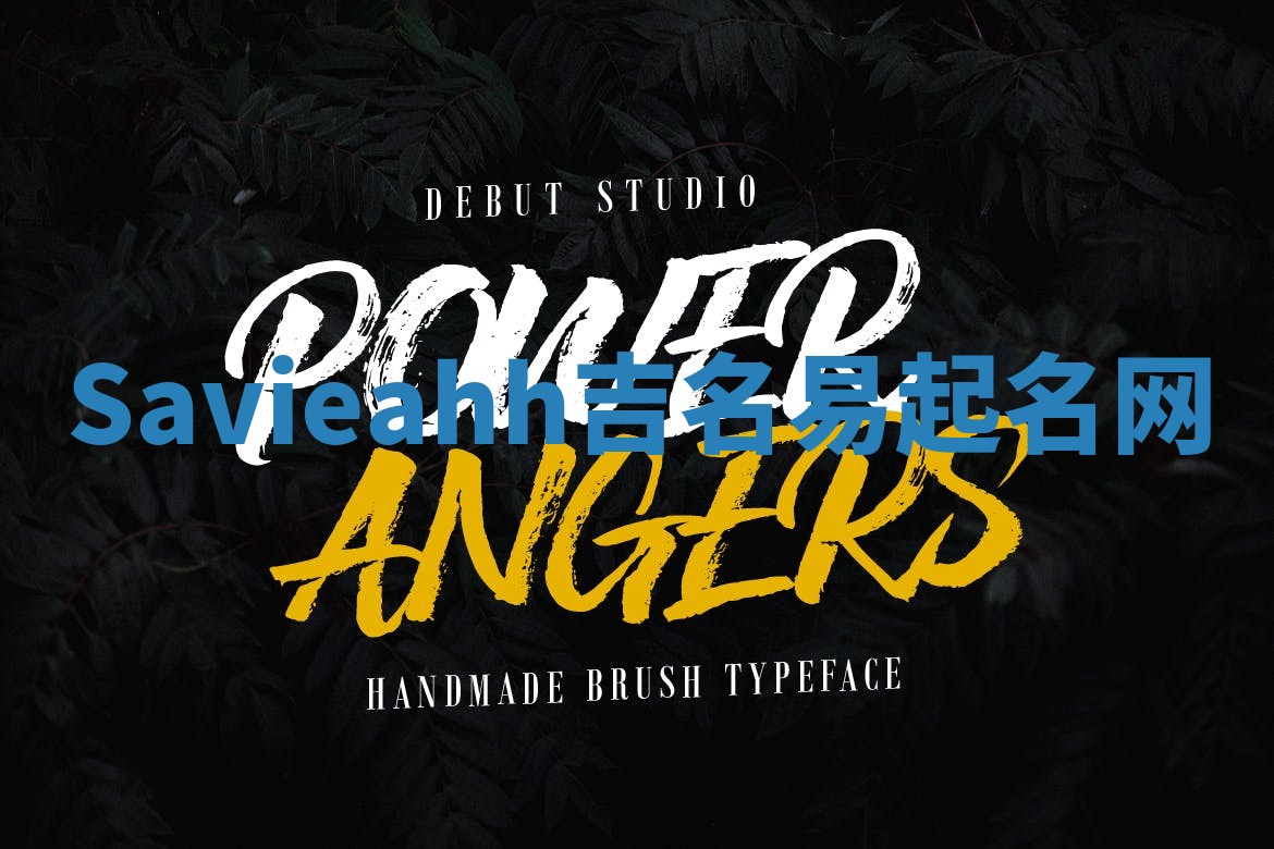 Savieahh吉名易起名网