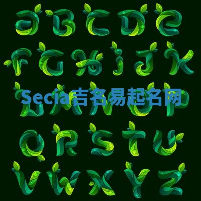 Secia吉名易起名网