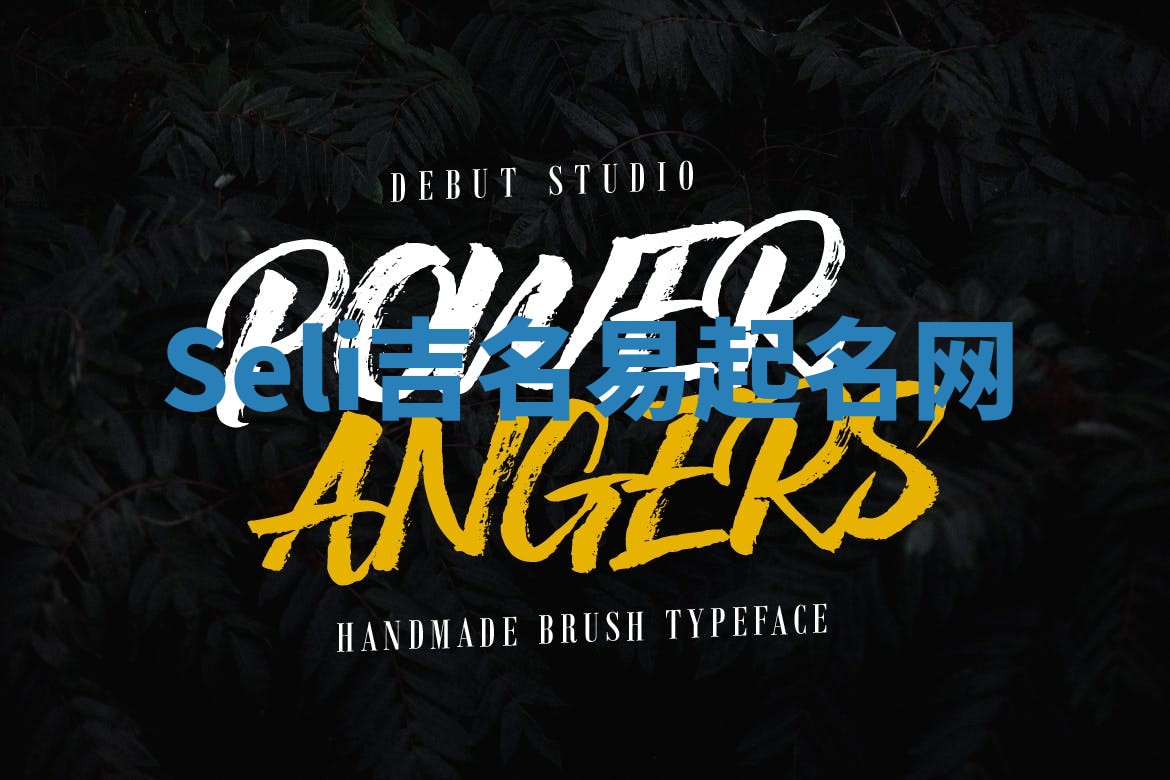 Seli吉名易起名网