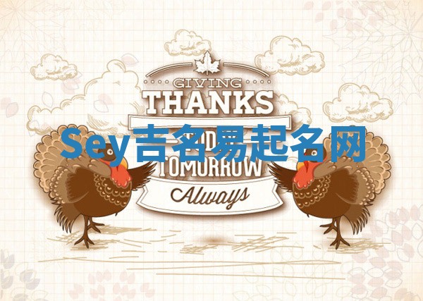 Sey吉名易起名网
