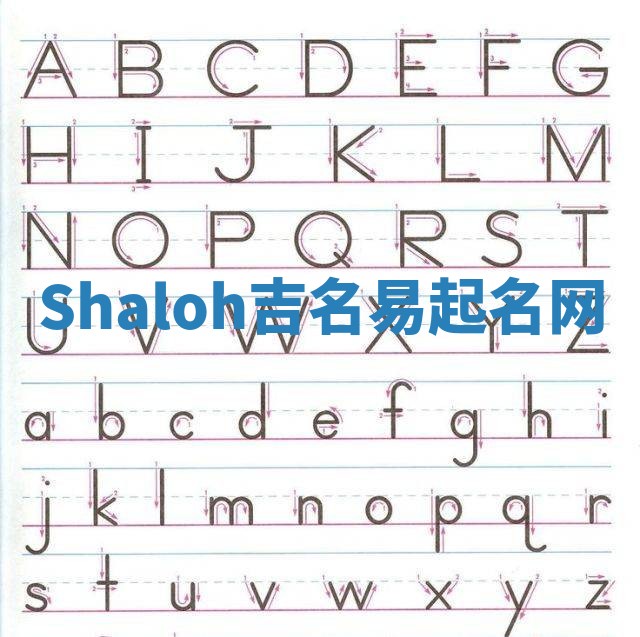 Shaloh吉名易起名网