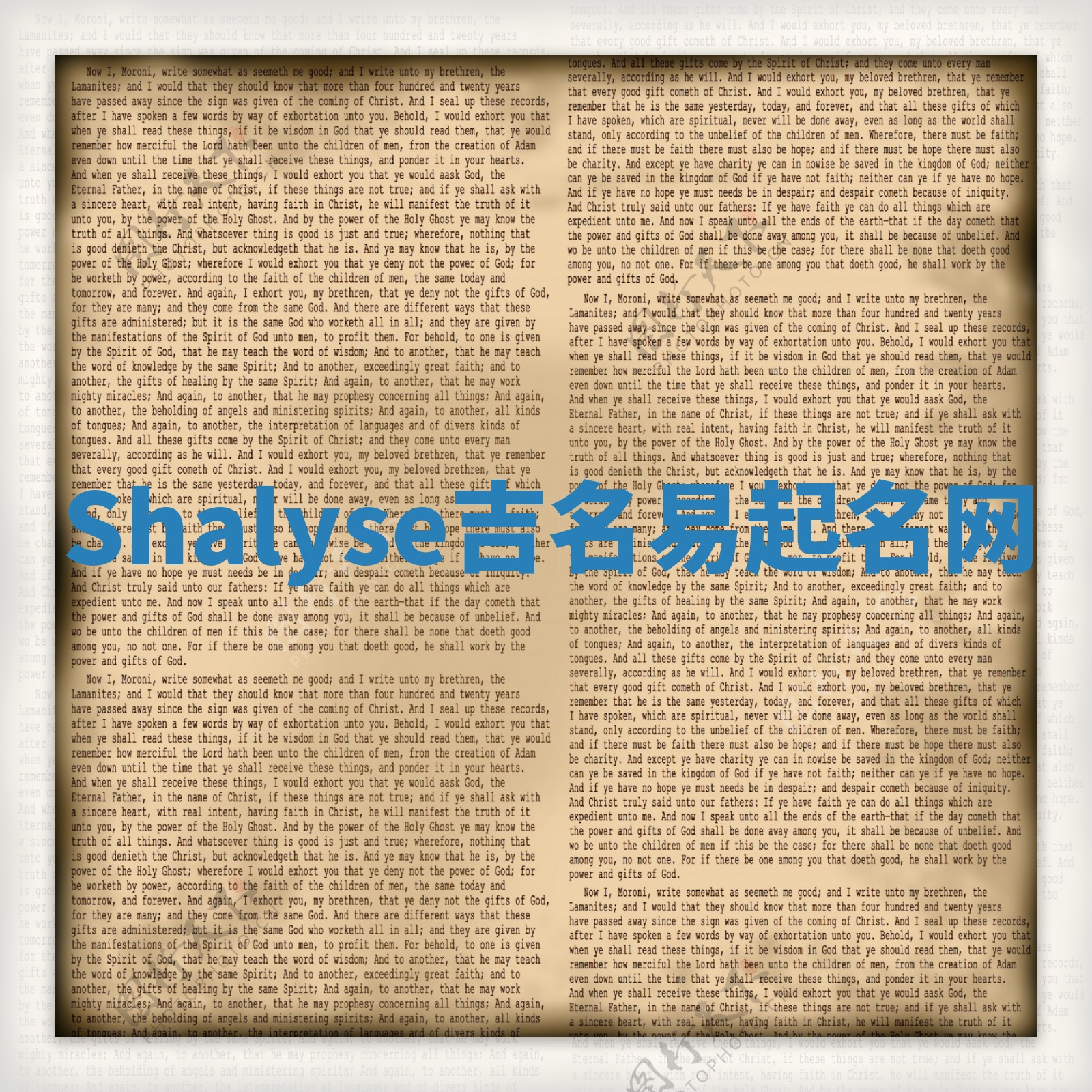 Shalyse吉名易起名网