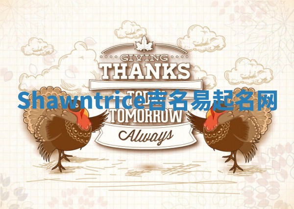 Shawntrice吉名易起名网