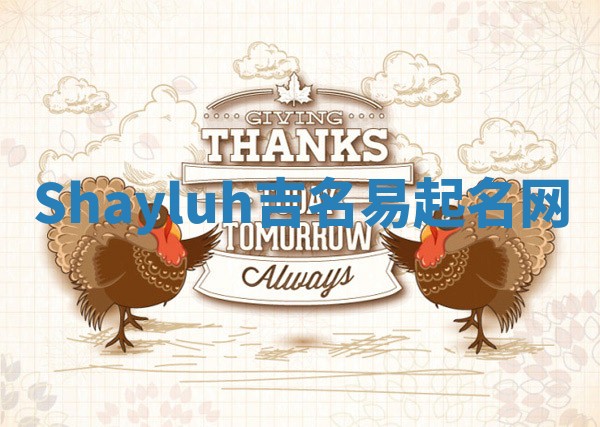 Shayluh吉名易起名网