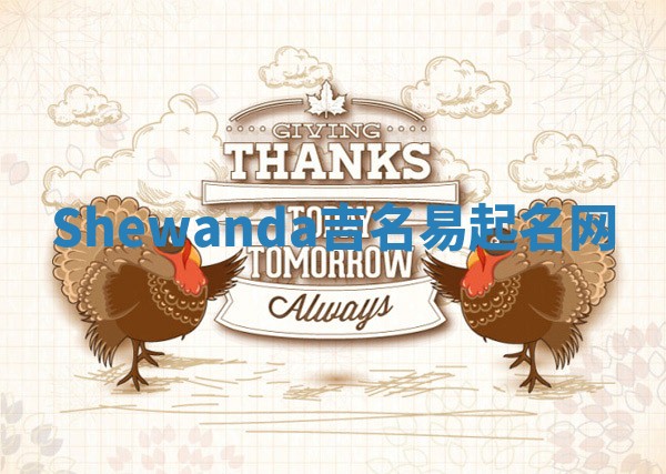 Shewanda吉名易起名网