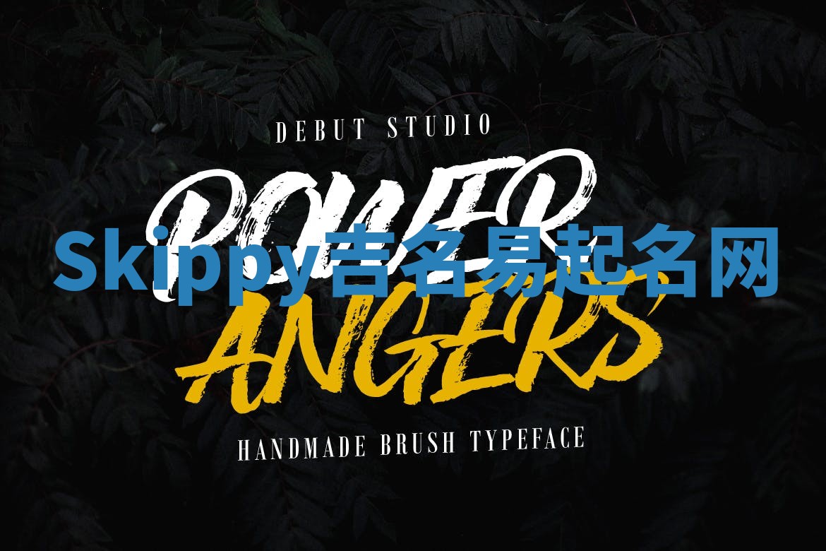 Skippy吉名易起名网