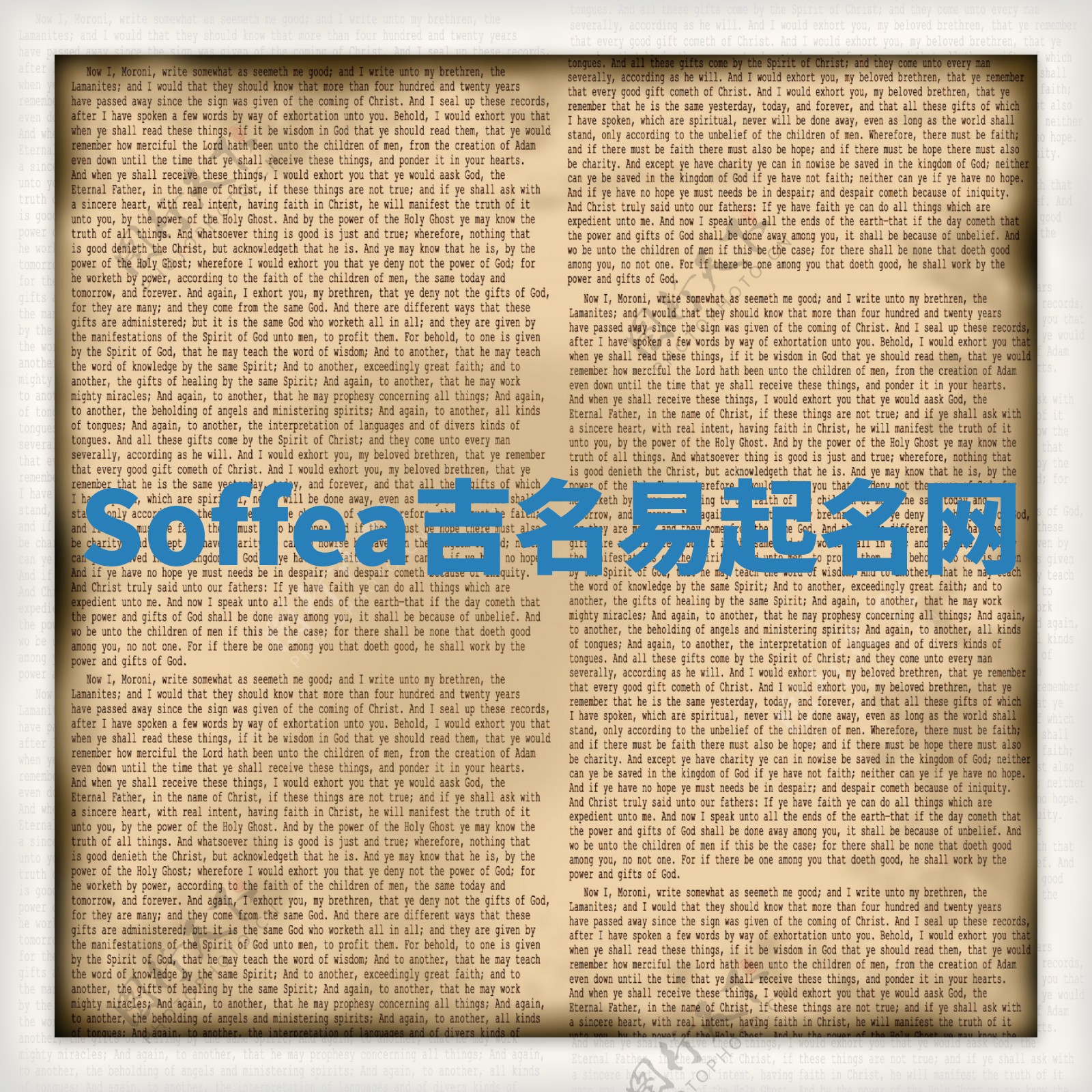 Soffea吉名易起名网