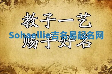Sohaellie吉名易起名网