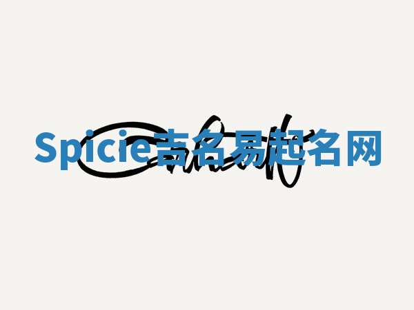 Spicie吉名易起名网