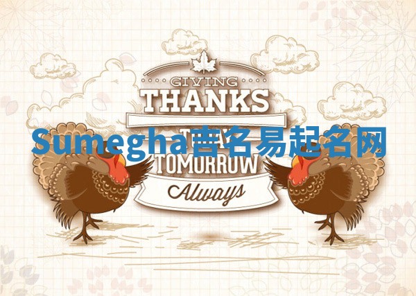 Sumegha吉名易起名网