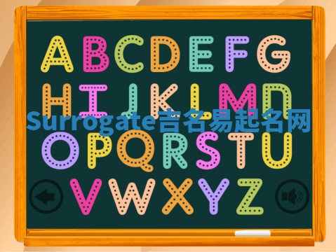 Surrogate吉名易起名网