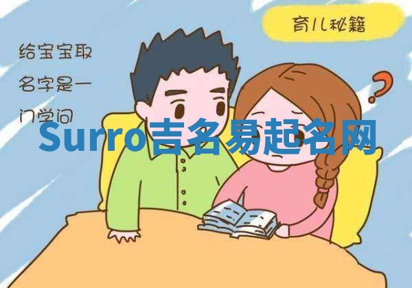 Surro吉名易起名网