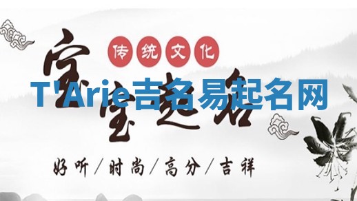 T'Arie吉名易起名网