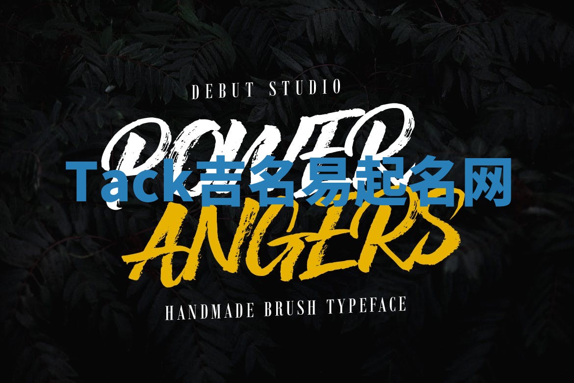 Tack吉名易起名网