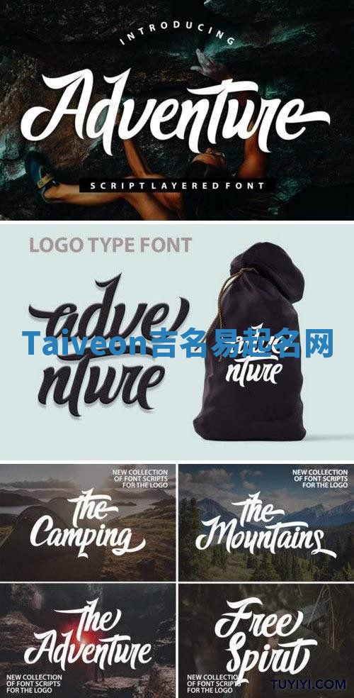 Taiveon吉名易起名网