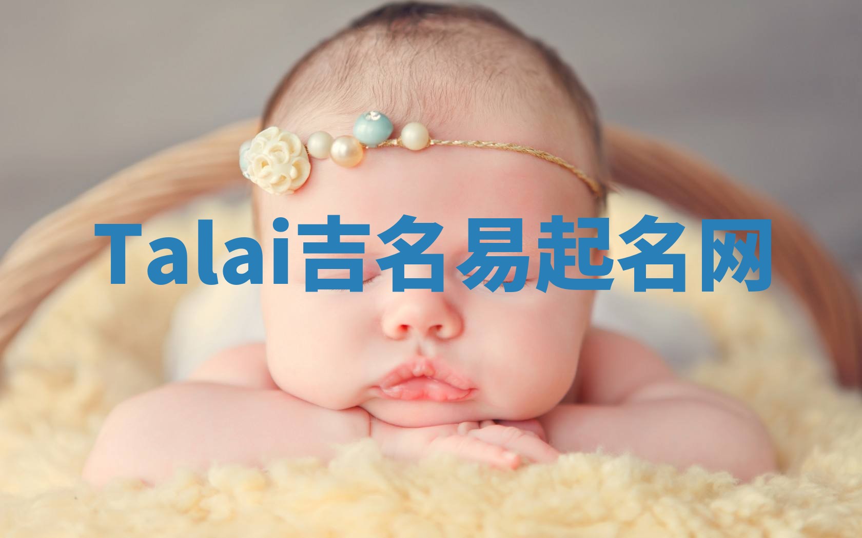 Talai吉名易起名网