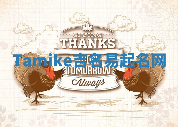 Tamike吉名易起名网