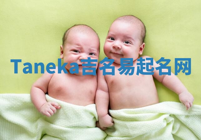 Taneka吉名易起名网