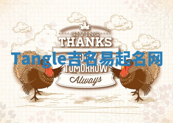 Tangle吉名易起名网