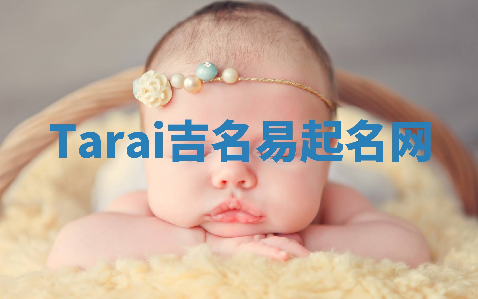Tarai吉名易起名网