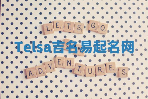 Telsa吉名易起名网 Telsa吉名易起名网