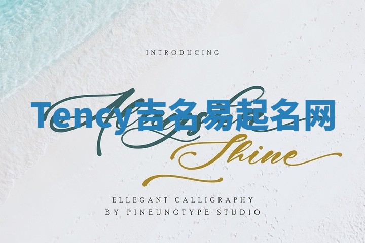 Tency吉名易起名网