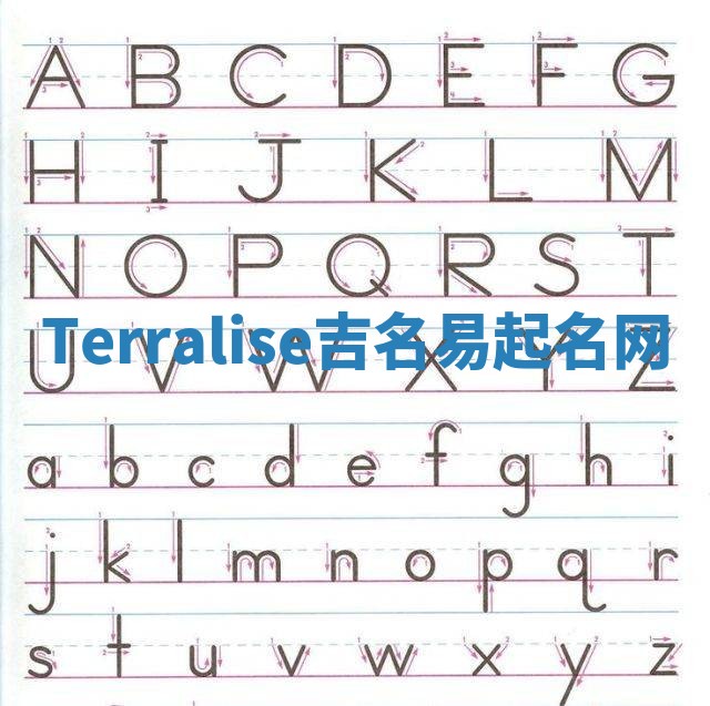 Terralise吉名易起名网