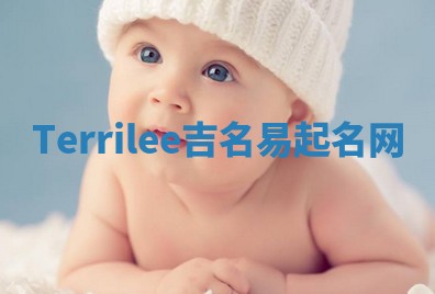 Terrilee吉名易起名网