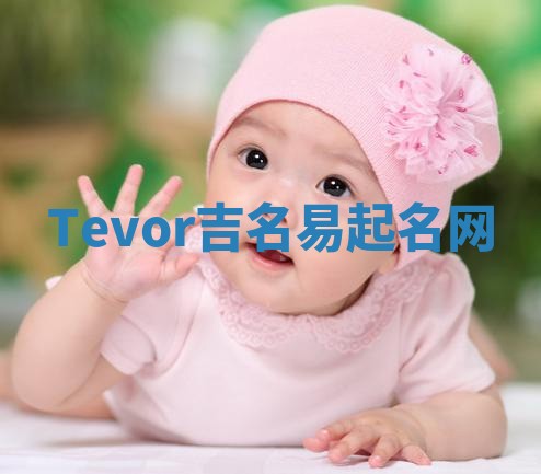 Tevor吉名易起名网