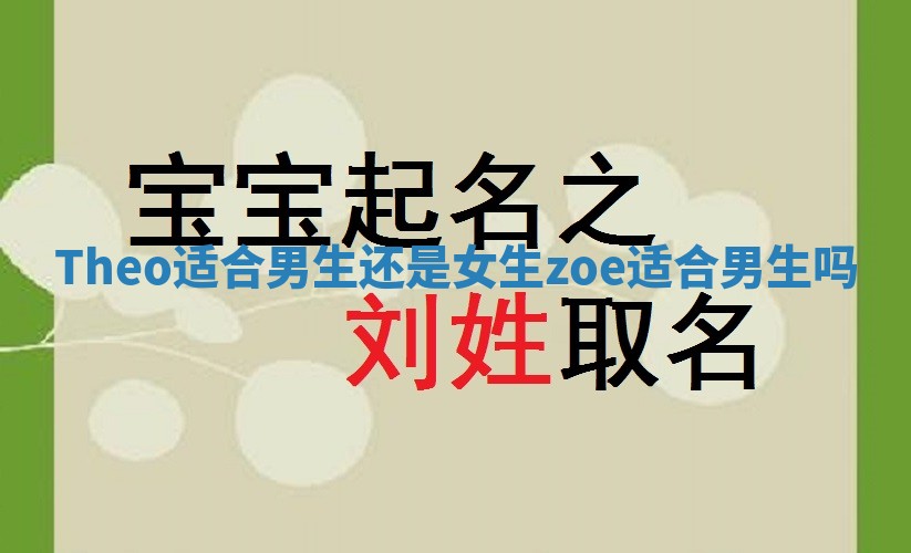 Theo适合男生还是女生 zoe适合男生吗