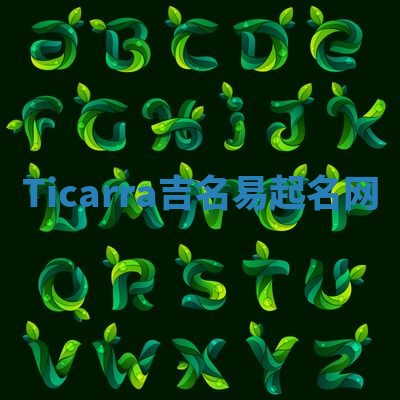 Ticarra吉名易起名网