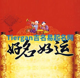 Tiergan吉名易起名网