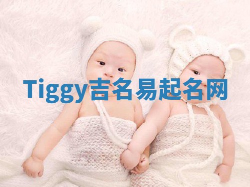 Tiggy吉名易起名网