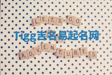 Tigg吉名易起名网