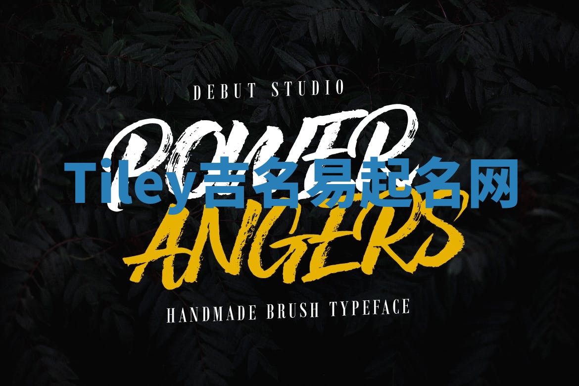 Tiley吉名易起名网