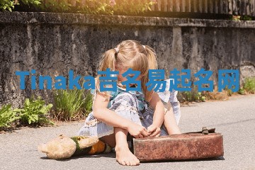 Tinaka吉名易起名网