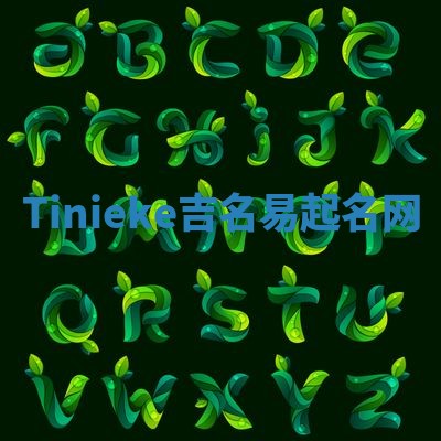 Tinieke吉名易起名网