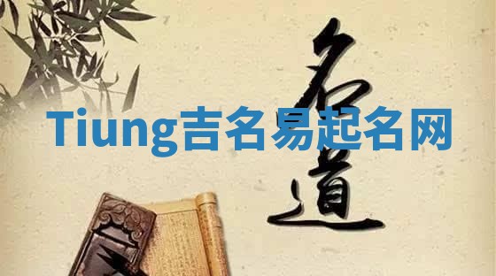 Tiung吉名易起名网