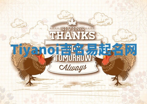 Tiyanoi吉名易起名网