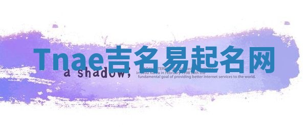 Tnae吉名易起名网