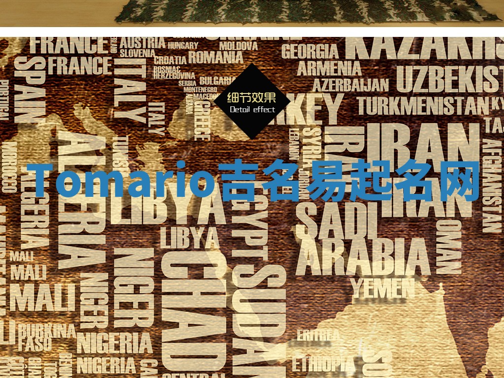 Tomario吉名易起名网