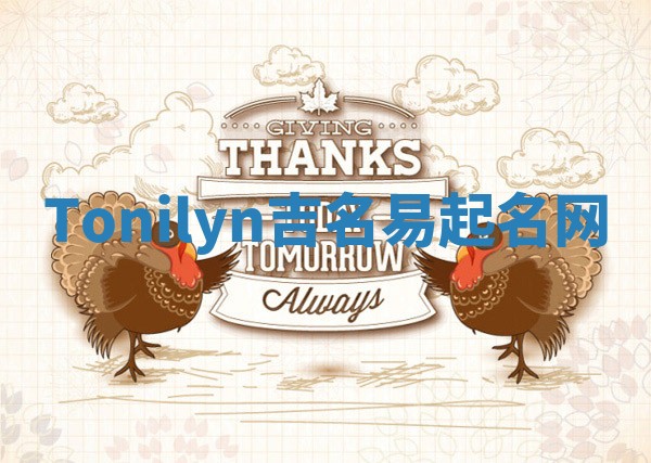 Tonilyn吉名易起名网