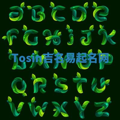 Tosin吉名易起名网