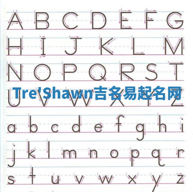 Tre'Shawn吉名易起名网