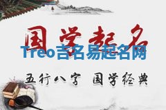 Treo吉名易起名网