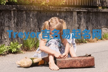 Treyor吉名易起名网