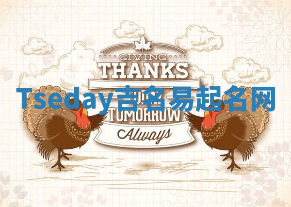 Tseday吉名易起名网