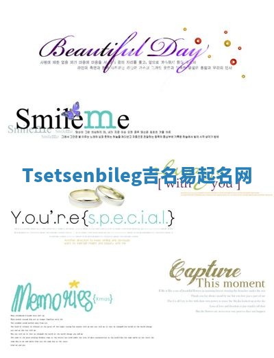Tsetsenbileg吉名易起名网